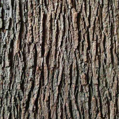 Artificial tree bark natural - tree,